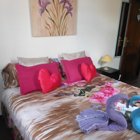 Couette-café Villa Riki - Bed & Breakfast Arona (Tenerife)